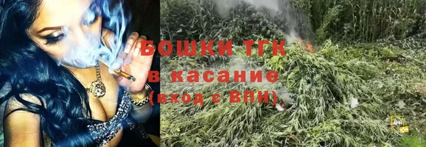 крисы Краснотурьинск