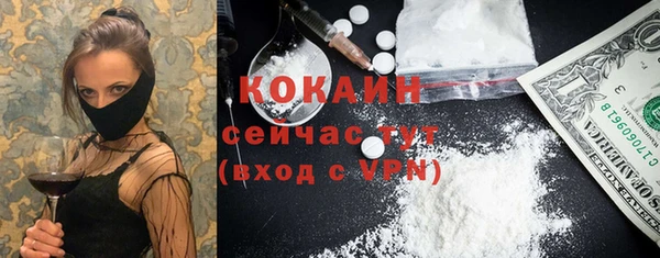 спайс Кулебаки