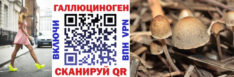 Купить где  Бодайбо  Галлюциногенные грибы GOLDEN TEACHER 